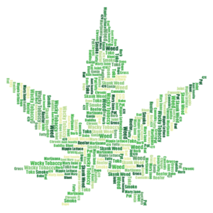 Marijuana_1_